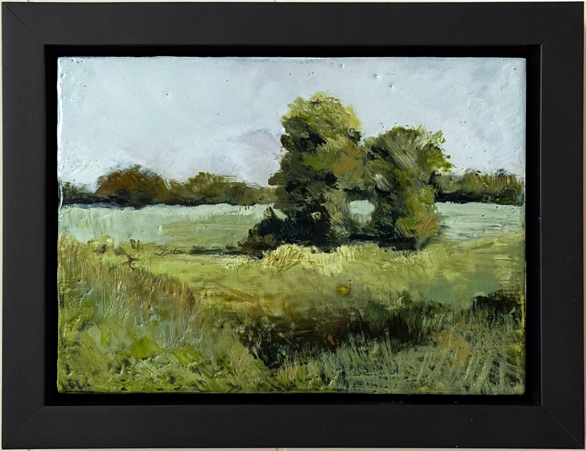 Fields in Powell