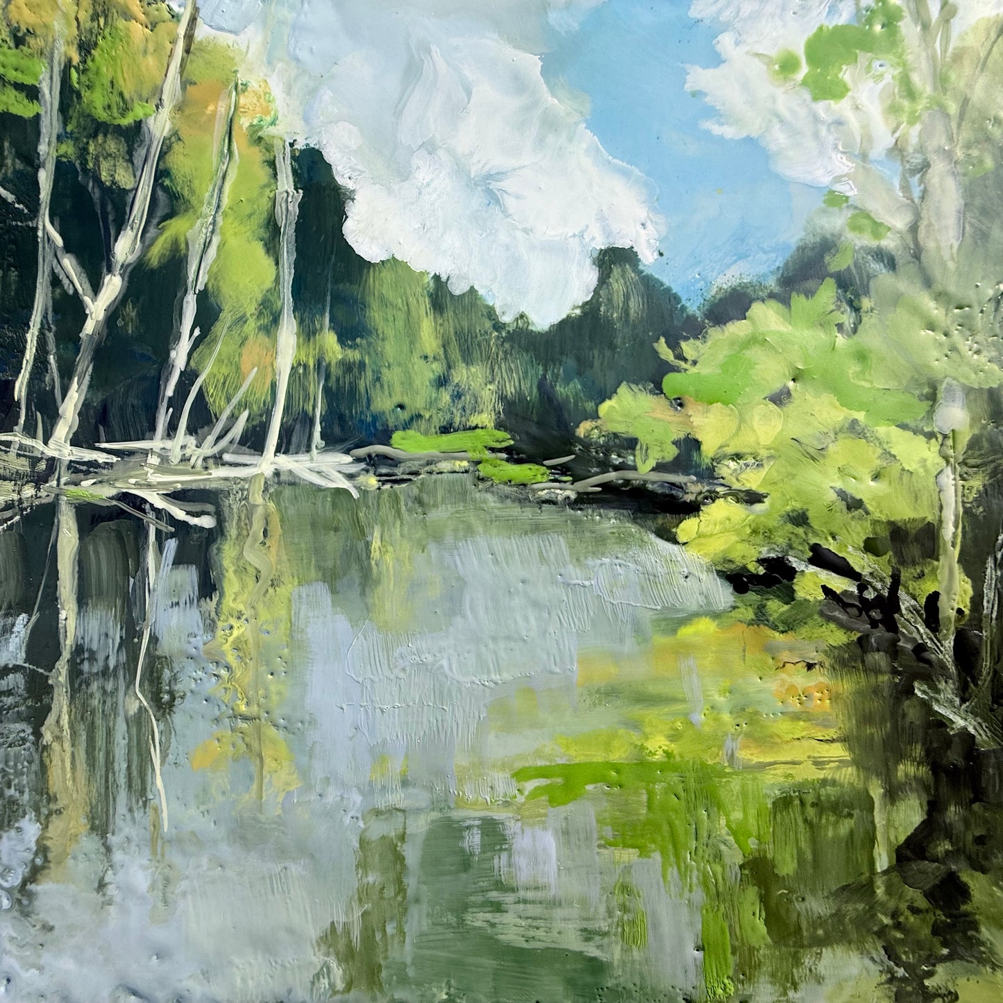 Lake Landscape