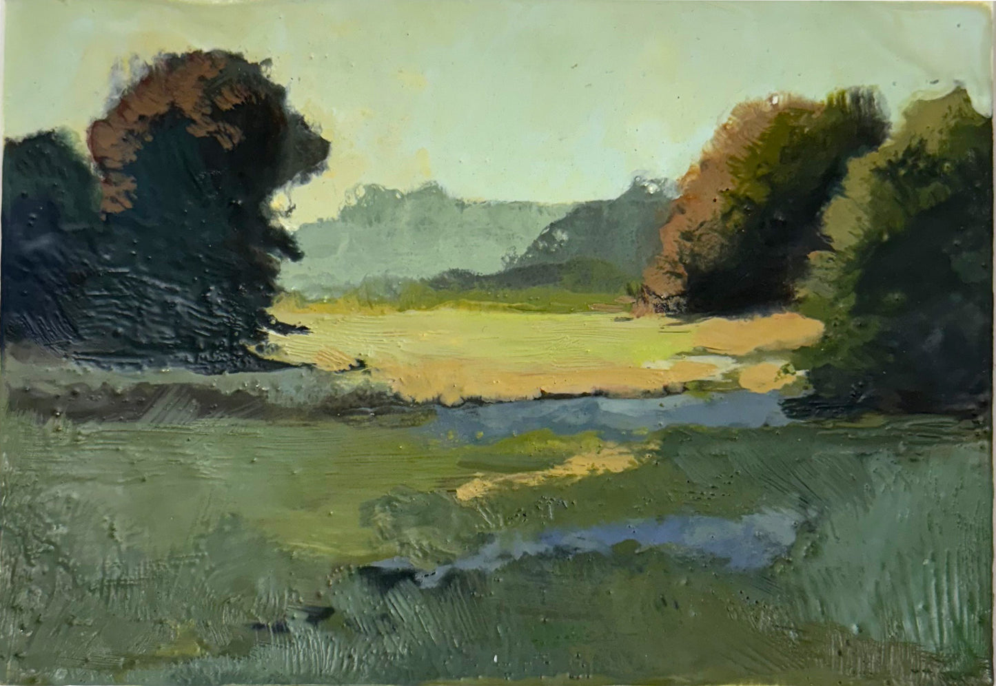 Golden Fields #2