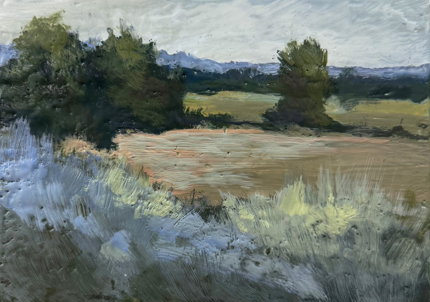 Golden Fields