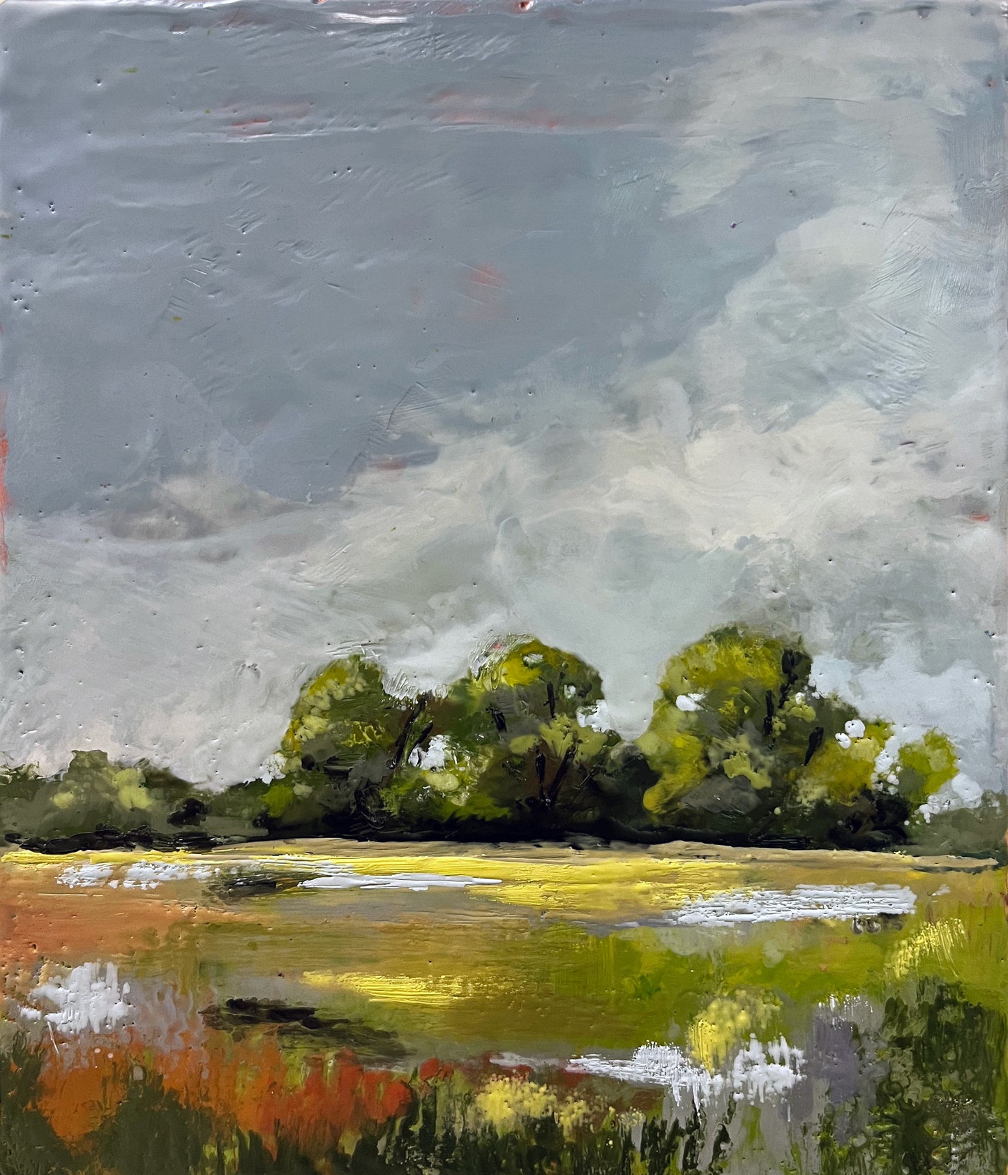 Fields at Home