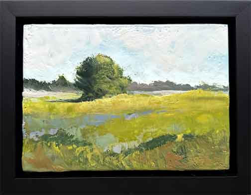 Tennessee Meadow