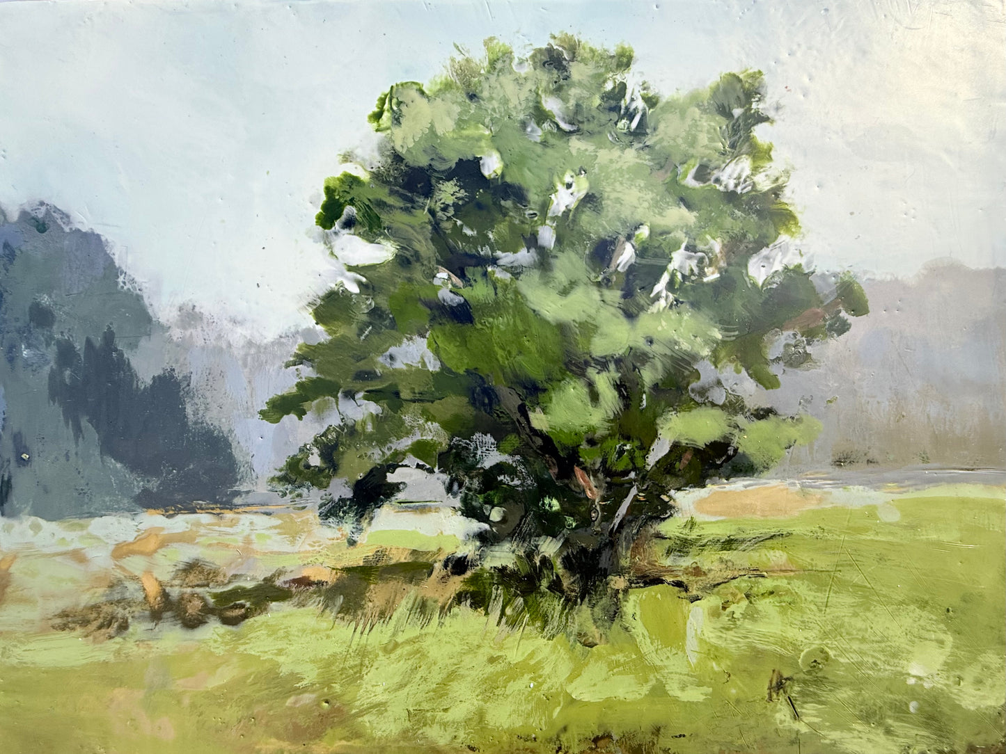Fair Fields