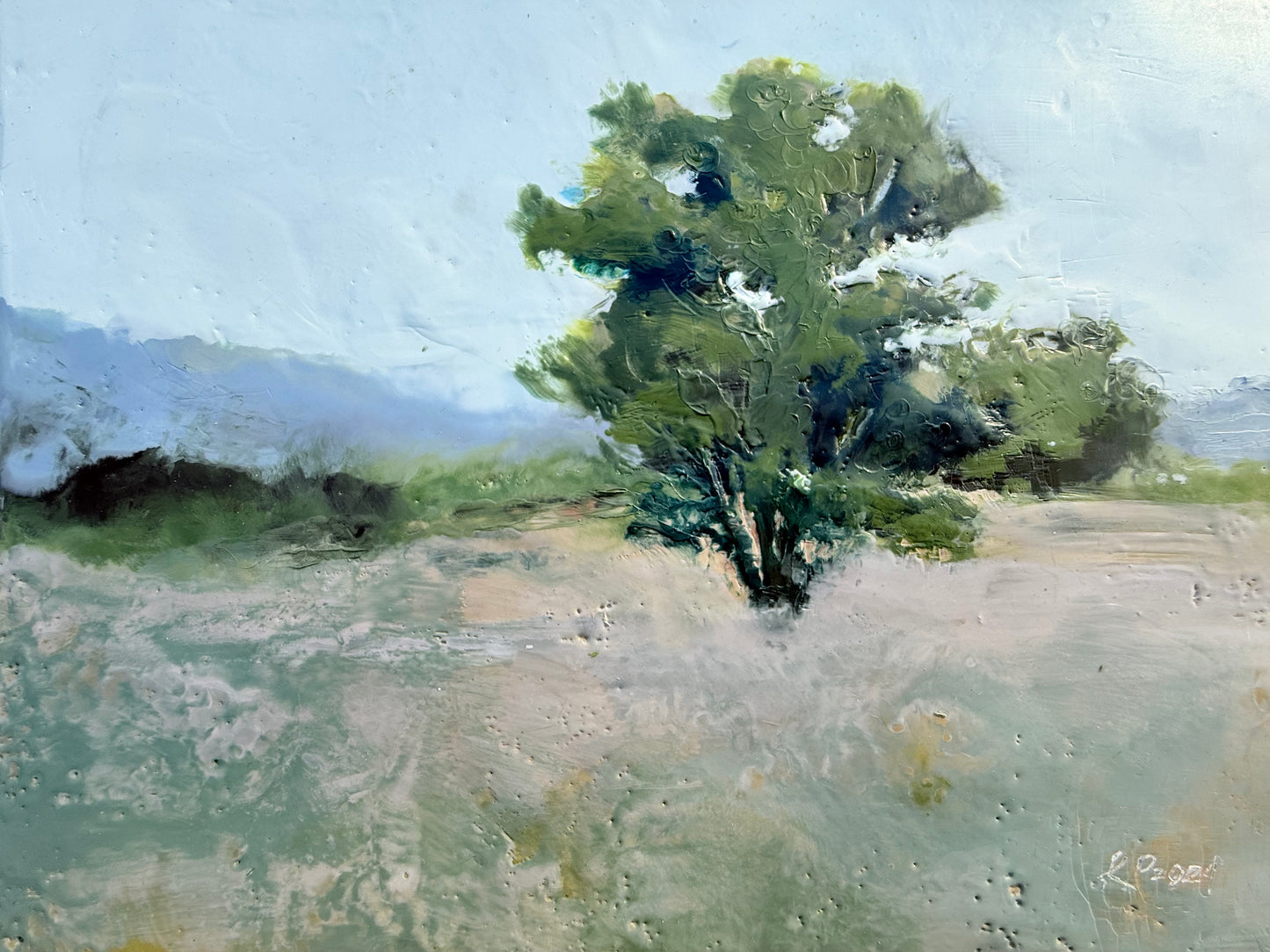Fair Fields 2