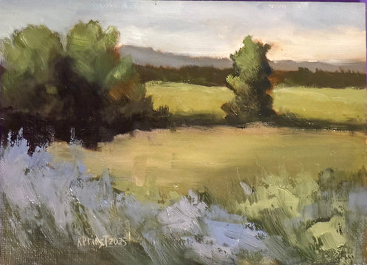 Landscape Golden Fields